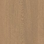 Sycamore